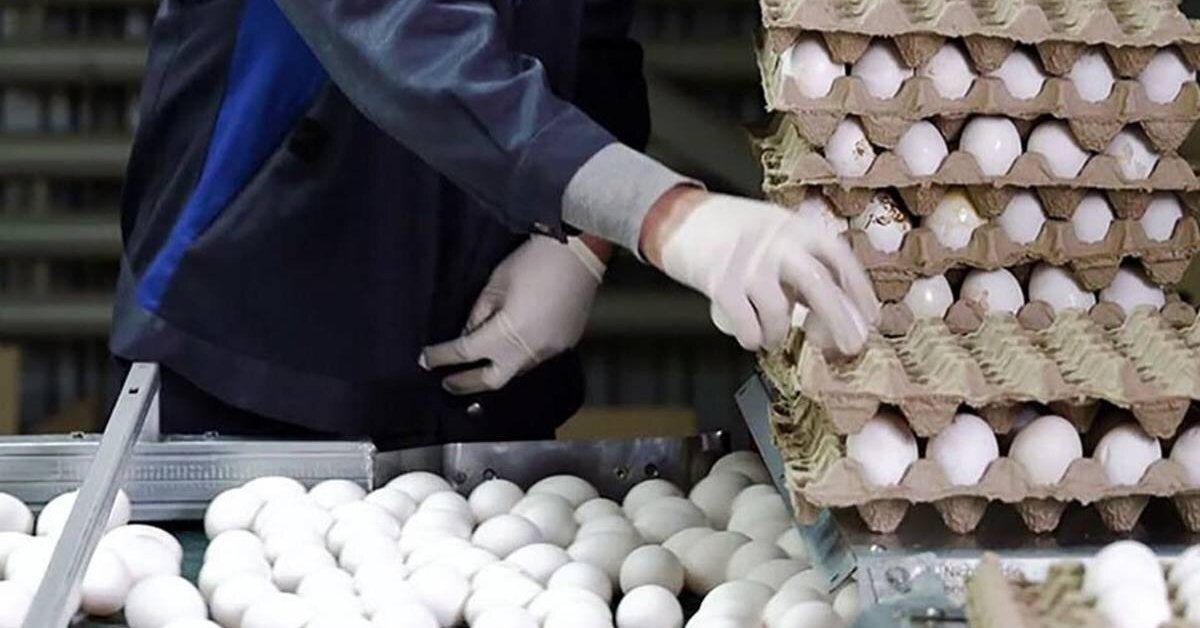 Iran, where eggs are a better bet than cash